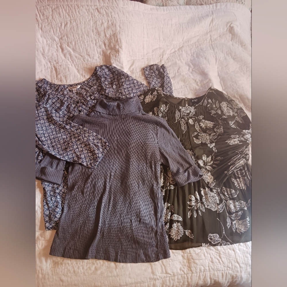 🎈3/$10 Sale🎈3 Womens Lg Tops Croft&Barrow A.N.A Cato Gray Blue Green